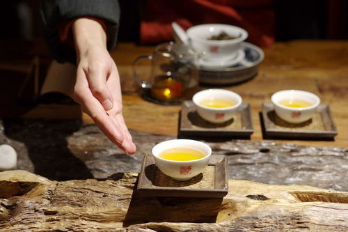 智匯芽協(xié)助福元昌普洱茶運(yùn)營(yíng)抖音賬號(hào),確定合作關(guān)系