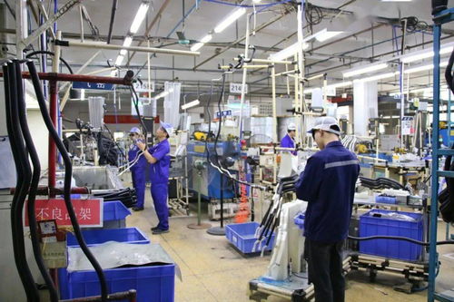 安全事故牽動(dòng)人心,大龍街啟動(dòng)安全生產(chǎn) 洗村 行動(dòng),茶東村廠企被查出......