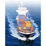 專業高效，連接全球貿易——廣州佳澤貨運代理有限公司介紹