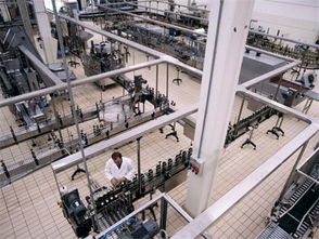 探索意大利莊園橄欖油的進口全流程